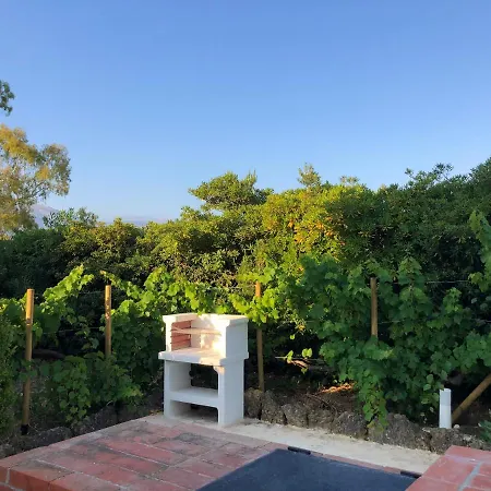 Torre Mariza Guidaloca *