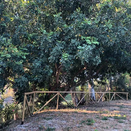 Torre Mariza Guidaloca