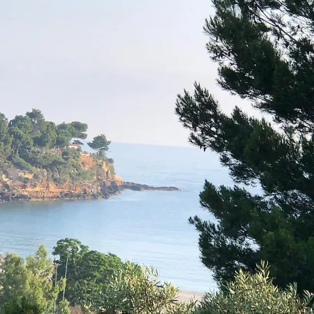 Torre Mariza Guidaloca * סקופלו